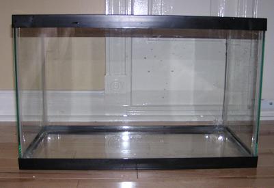 ten gallon tank